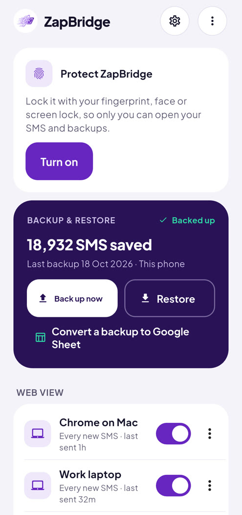 ZapBridge Home: Backup and restore, Web view and Automations
